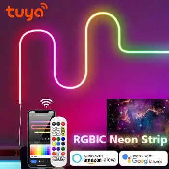 RGBIC Wi-Fi неоновый свет светодиодная лента Smart WIFI приложение RGB Chasing Dream Color водонепроницаемая гибкая лента Alexa Google украшение для дома и сада 1m