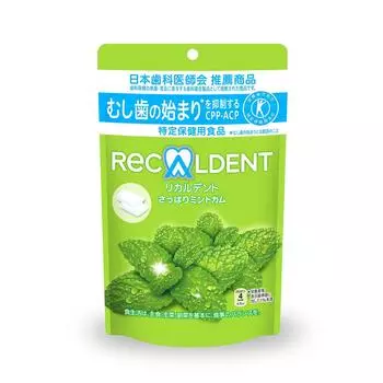 Ricardent Освежающий мятный пакетик Stand Pouch Большая емкость 280 г