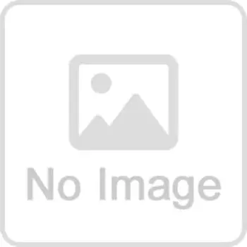 Ricoh OHP film type A3 906880 PPC-E (100 sheets)