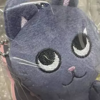 Riize 10cm Doll Keyring Tonyangdeok