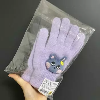 Riize Hug Md Wonbin Gloves