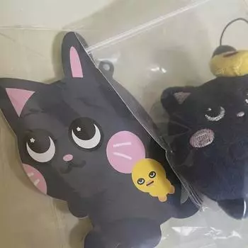 Риизе Вонбин Мини Тоньяндук