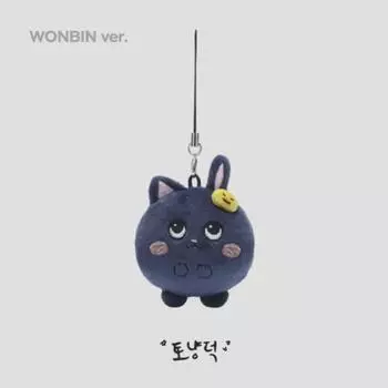 Риизе Вонбин Мини Тоньяндук