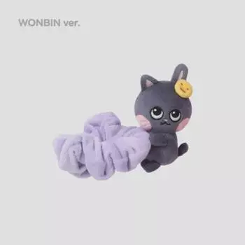 Риизе Вонбин Скранк