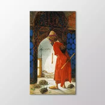 Рисунок Дрессировщика Черепах