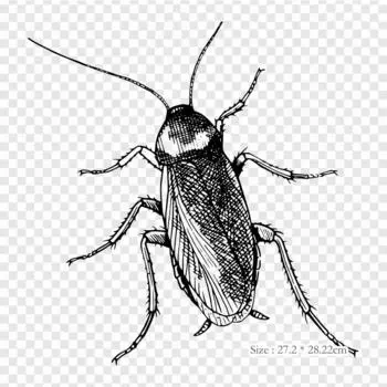 Рисунок таракана, насекомое-таракан, термопечать, виниловые нашивки, наклейки для одежды, аппликации «сделай сам», моющиеся нашивки