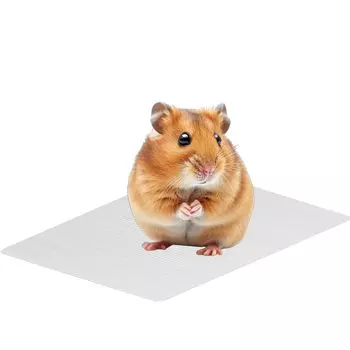 Rita Shokai Hamster Cooling Hamster Cooling Aluminum Hamster Heat For Heatstroke Suitable for Guinea Small and 3 and L Plate, Goods, Plate, Cooling, серебряный