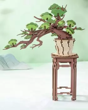 ROBOTIME 3D Puzzle 3D Wooden Puzzle Evergreen Pine Bonsai Assembly DIY Craft Plant Collection Архитектурная модель Японский интерьер Сборка Craft Kit