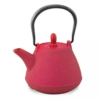 Roji Associates Cast Iron Teapot, Nanbu Tekki Teapot, ARARE - Dome Type, Made in Japan, with Tea Strainer, Inner Enamel Finish, Color pot, Open fire B