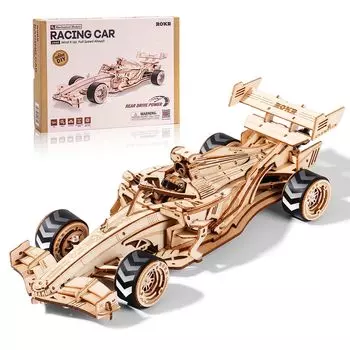 ROKR 3D Equation Movable with Sound 3D Wooden Interior Atmosphere Entrance Craft DIY Craft Killing Educational For Junior High School Perfect for Gift