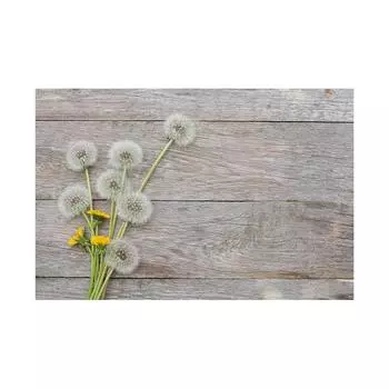 Romantic Dandelion Background Tapestry for Events,Party Banner,Home Decor,Weddings,Photo Booths 100*150cm