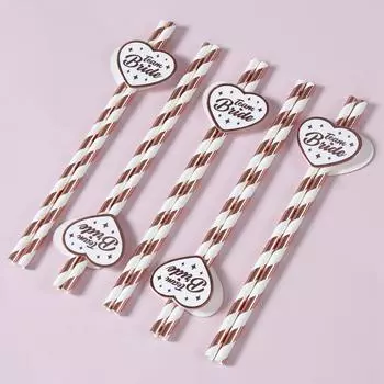 Rose Gold Team Bride Disposable Straws Bridesmaid Bridal Shower Veil Hen Decor Bachelorette Party Supplies Wedding Decoration