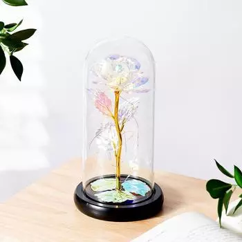 Rose Romantic Forever Flower In Dome Led Light Valentine Day Birthday Gift Decor Color