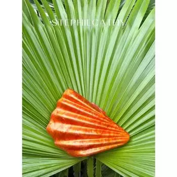 Роскошный акриловый клатч в форме ракушки с магнитной застежкой, металлическая длинная цепочка, сумка через плечо, элегантный вечерний кошелек для женщин, вечеринок, свиданий, подарков, выходов в свет