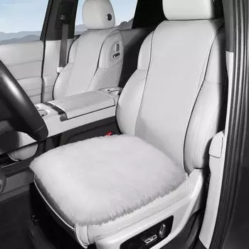 Роскошный утолщенный плюшевый чехол для сиденья автомобиля с нескользящим дизайном, впитывающий влагу, устойчивый к пятнам, моющийся, протектор сиденья чёрный