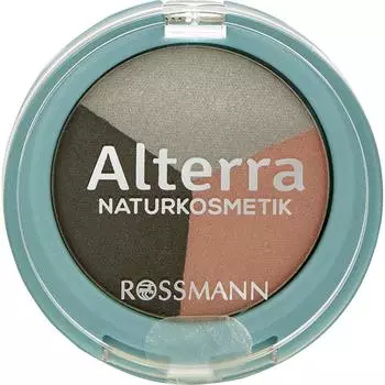 Rothman Alterra Alterra Eyeshadow Trio 08, 2.5g