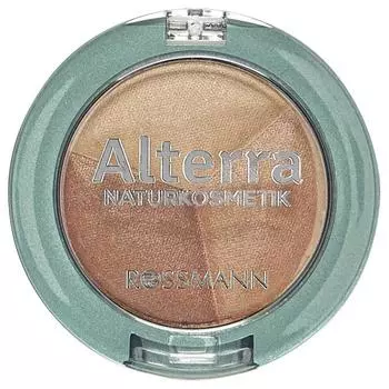 Rothman Alterra Alterra Trio Eyeshadow 01 Cacao Sensation 1ea