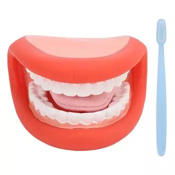 Ротовая кукла с языком, зубами, модель щетки для коррекции речи, для мальчиков и девочек, образовательные инструменты