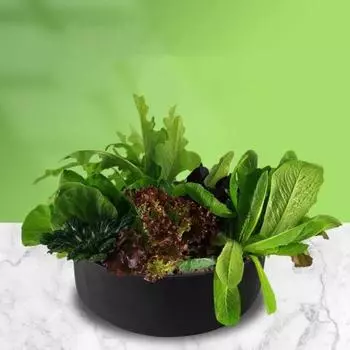 Round Planting Bucket Felt Planting Bag Gardening Supplies Growth Bag Pot and Planting XS