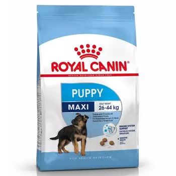 Royal Canin SHN Maxi Junior для собак 10 кг