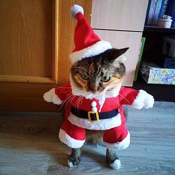 Рождественская одежда для кошек для маленьких собак, осенне-зимние теплые костюмы для котят, наряды для домашних животных Санта-Клауса, новогодний подарок, куртка для кошек XS красный
