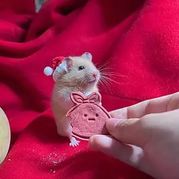 Рождественская шапка в виде птицы, маленькие животные, милые вязаные вручную шапки для хомяка, ящерицы, морской свинки, рептилии, праздничная одежда, костюм, шапки для домашних животных алый