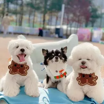 Рождественский питомец, милый олень, слюна, полотенце для собак, кошек, одежда, прекрасный дизайн, осенняя и зимняя одежда, аксессуары для домашних животных