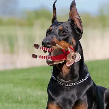 Рождественский плюшевый питомец игрушка устойчивая к укусам собака портативная многоцелевая праздничная для собак Christmas elk