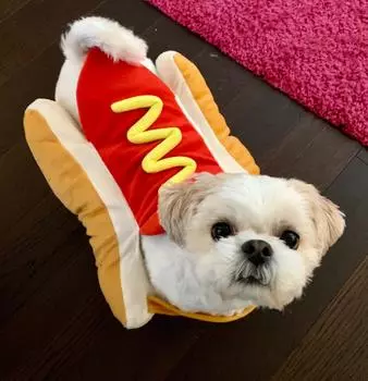 Рождественский зимний забавный костюм для домашних животных, одежда для хот-догов, милый кот, щенок, одежда, наряд для собак, такса, Хэллоуин, вечеринка, косплей, подарок L