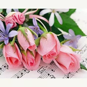 Розовая роза 5D Diy алмазная живопись полная круглая алмазная вышивка алмазная мозаика стразы набор для вышивки крестом домашний декор 20X30CM