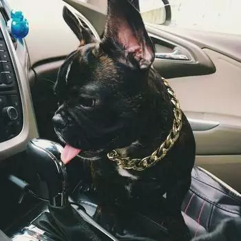 ru Нержавеющая сталь Цепь с вырезом P хромированная Круглая цепь для домашних собак Strong Anti-bite big dog col