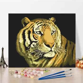 Ручная работа, холст, цифры, картина, сделай сам, картина по номерам, картина маслом, цифровая картина маслом 40x50cm no frame