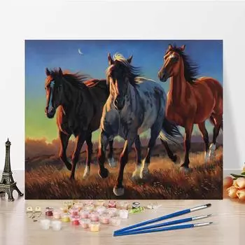 Ручная роспись, цифровая картина маслом, сделай сам, картина по номерам, картина маслом, украшение дома, холст 40x50cm no frame