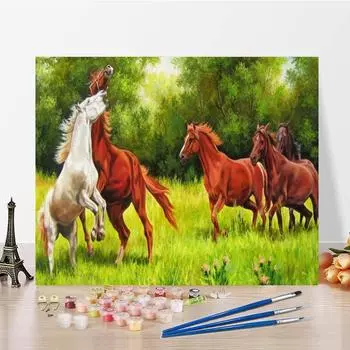 Ручная роспись цифровая масляная живопись домашнее украшение цифры масляная живопись своими руками живопись по номерам холст 40x50cm no frame