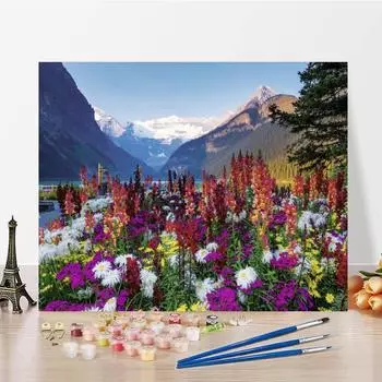 Ручная роспись декомпрессии DIY цифровая картина маслом украшение дома холст картина живопись по номерам 40x50cm no frame