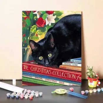 Ручная роспись декомпрессии Домашнее украшение Холст Картина Картина по номерам DIY Цифровая картина маслом 40x50cm no frame