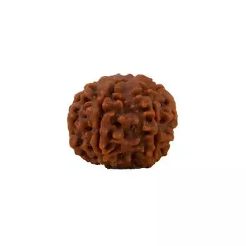 Рудракша для детей до 14 лет (6 мукхи), Rudraksha Bead (six-faced) for children below 14 years, Isha Life