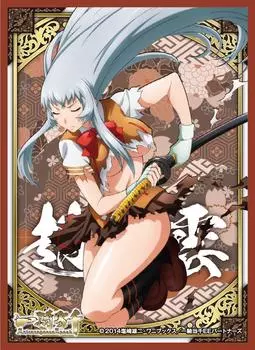 Рукав персонажа Ikkitousen Extravaganza Epoch Чжао Юньцзылун (ЕН-048)