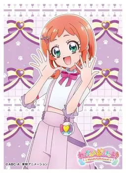 Рукав персонажа, замечательный набор Inukairoha PreCure! (EN-1404)
