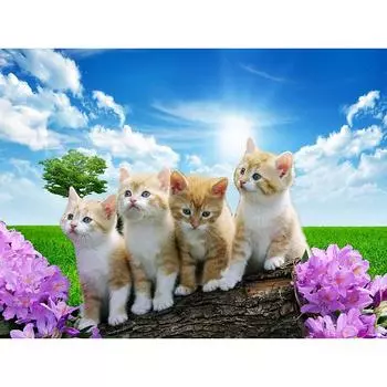 Рукоделие Четыре кошки на деревянной куче Алмазная картина Мозаика Алмазная вышивка с украшением дома 20X30CM