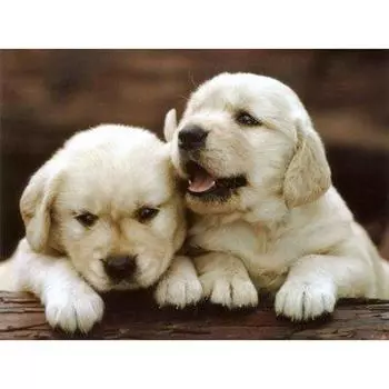 Рукоделие DIY Алмазная картина Вышивка крестиком Круглая Алмазная вышивка Украшение Алмазная мозаика 20X30CM