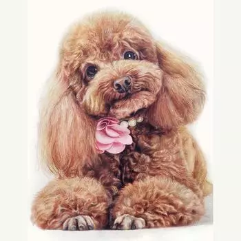 Рукоделие Тедди собака 5D Diy Алмазная картина вышивка крестиком животное Алмазная вышивка Мозаика Кристалл Европейский домашний декор 20X30CM