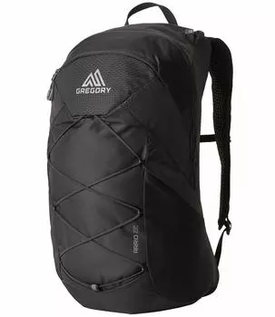 Рюкзак Ario 22 Frame Black свободный размер [Gregory]