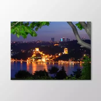 Румели Хисары Живопись