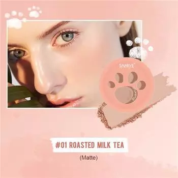 Румяна Гладкие и легкие для окрашивания Водонепроницаемые и устойчивые к поту Пудровые нежные румяна Легко раскрасить Симпатичные кошки Когти Дизайн