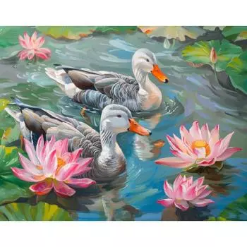 RUOPOTY Акриловая картина Diy Painting By Numbers For Adults Kit Duck Handicrafts Coloring On Numbers Lotus For Home Decor 40x50cm NO Frame