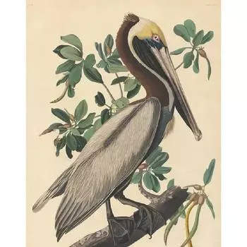 RUOPOTY акриловая картина по номерам, ручная работа, холст, картина, цапля, птица для взрослых, подарок «сделай сам», рисунок с цифрами 40x50cm NO Frame