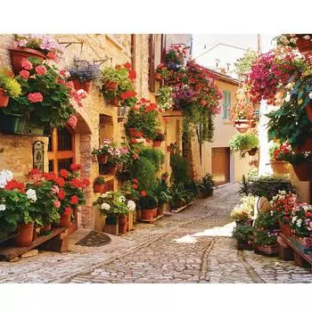 RUOPOTY краска по номерам для взрослых начинающих цветы DIY подарок холст живопись наборы акриловых красок рисунок ручная работа 40x50 см 40x50cm NO Frame