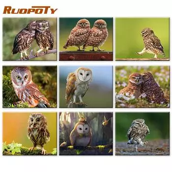 Ruopoty краска по номерам Сова настенное искусство уникальный подарок ручная роспись картина по номерам животное декор для детской комнаты 40x50cm NO Frame