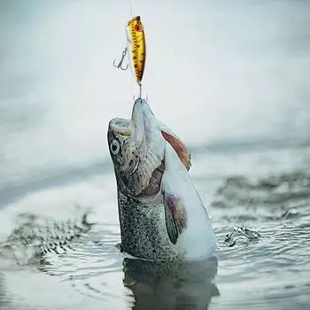 Рыболовный адвент-календарь 2024 года, набор рыболовных приманок на 24 дня, календарь, обратный отсчет до Рождества, рыболовный рождественский календарь обратного отсчета A